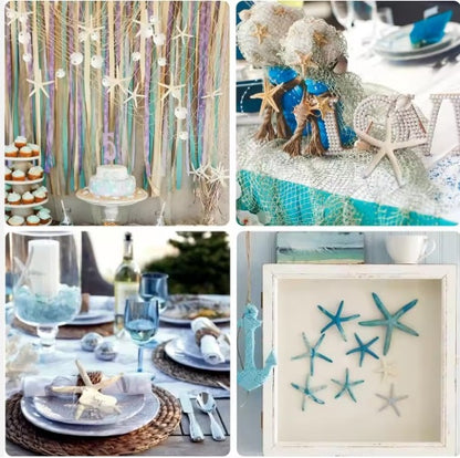 15pcs 2.3-4.3 Inch Starfish Hanging Christmas Tree Ornaments Star Fish Shells Decor For Crafts