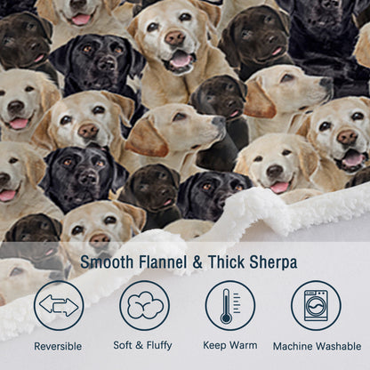Labrador Retriever Blanket Cute Labrador Retriever Fleece Blanket Dog Animal Pattern Sherpa Throw Blanket For Women Girls Mom Travel